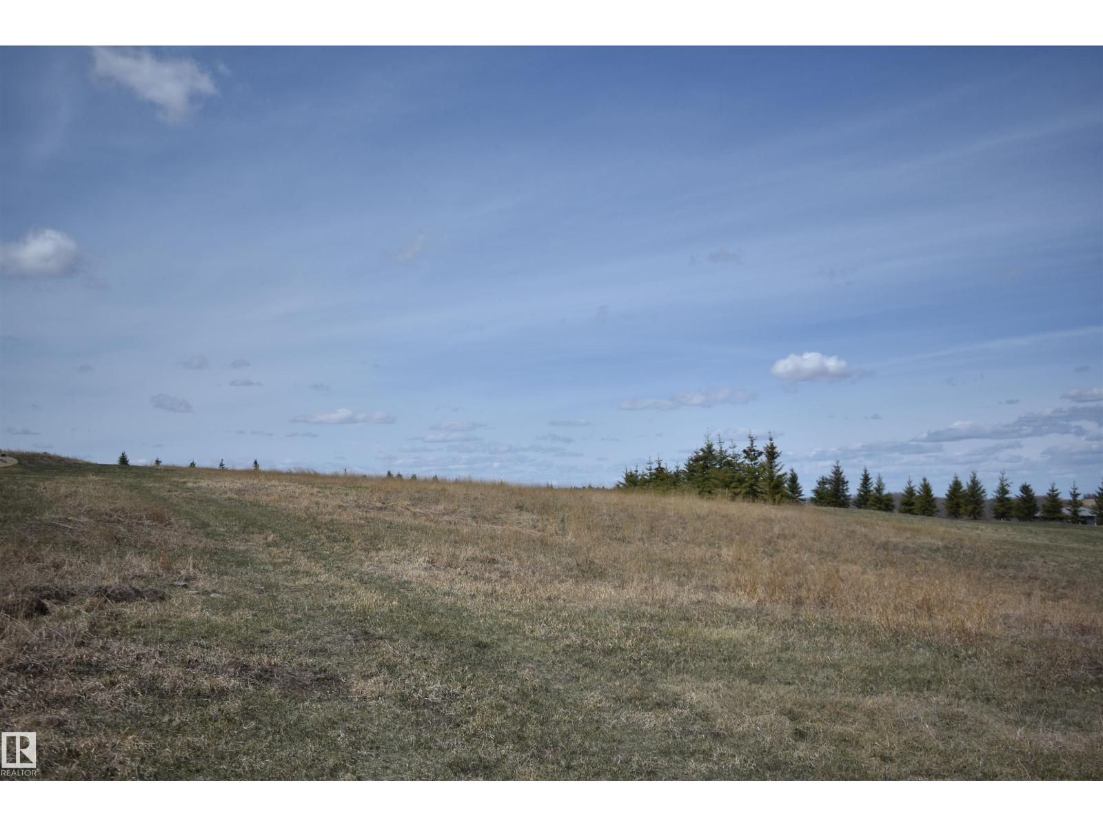 133 Bruhn Bv Nw, Rural Ponoka County, Alberta T0C 2J0 - Photo 10 - E4492299