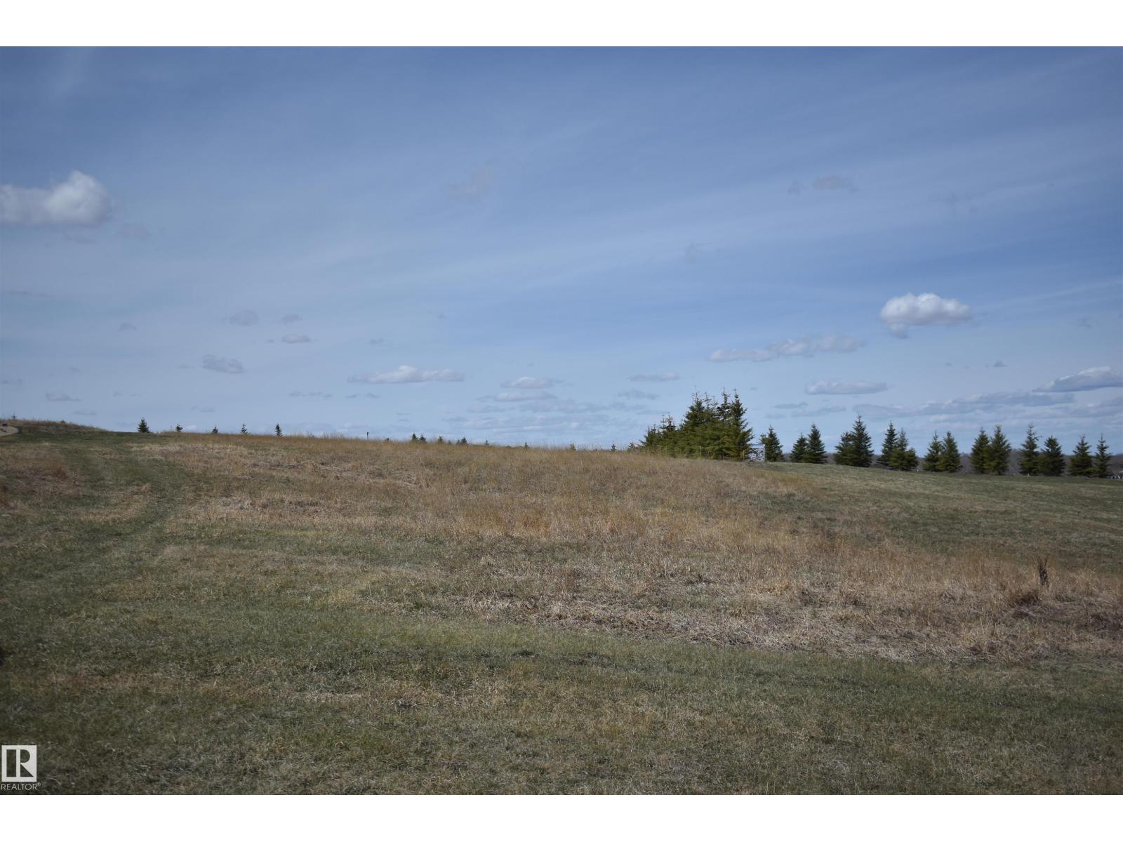 133 Bruhn Bv Nw, Rural Ponoka County, Alberta T0C 2J0 - Photo 11 - E4492299