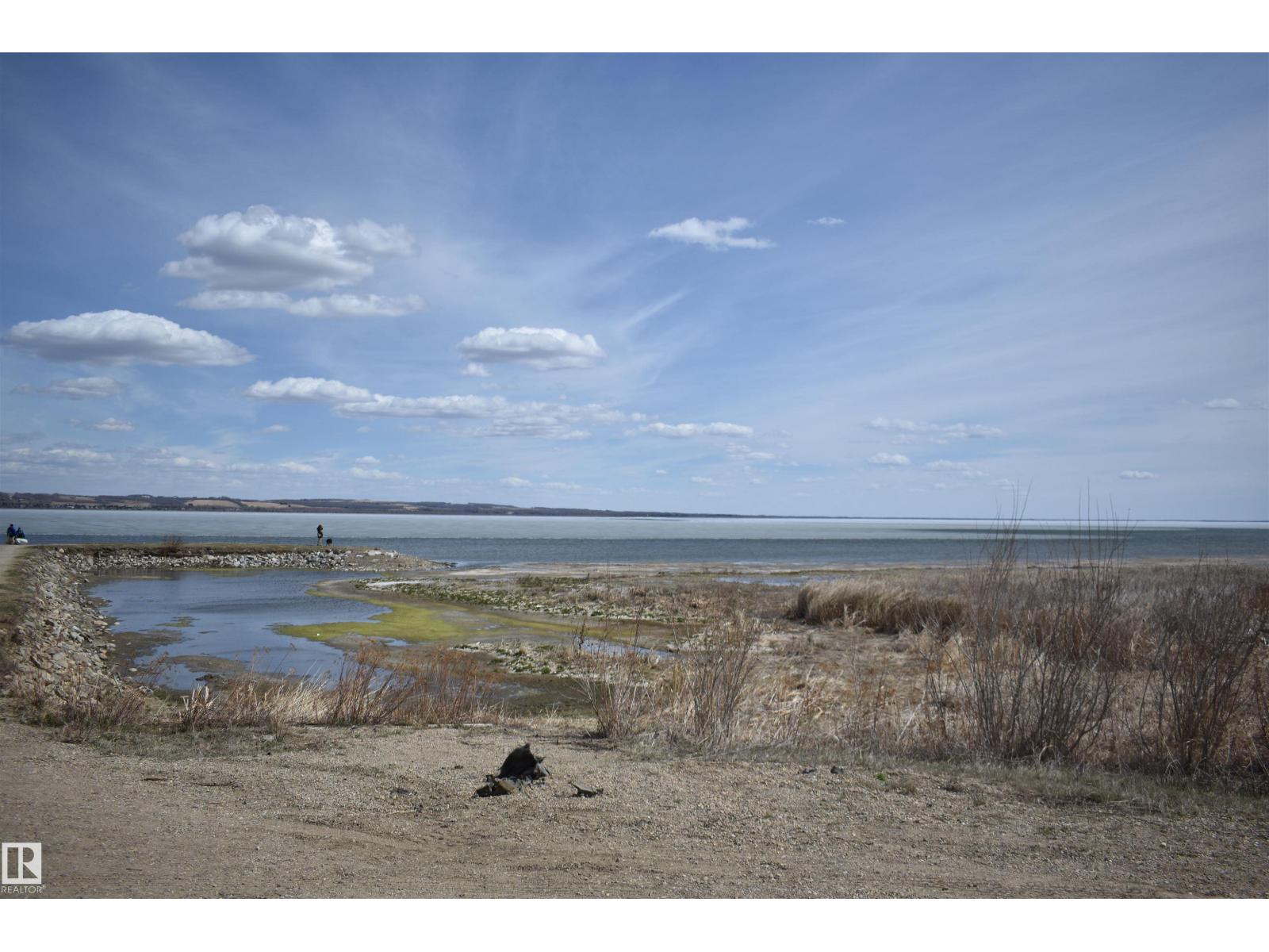 133 Bruhn Bv Nw, Rural Ponoka County, Alberta T0C 2J0 - Photo 23 - E4492299