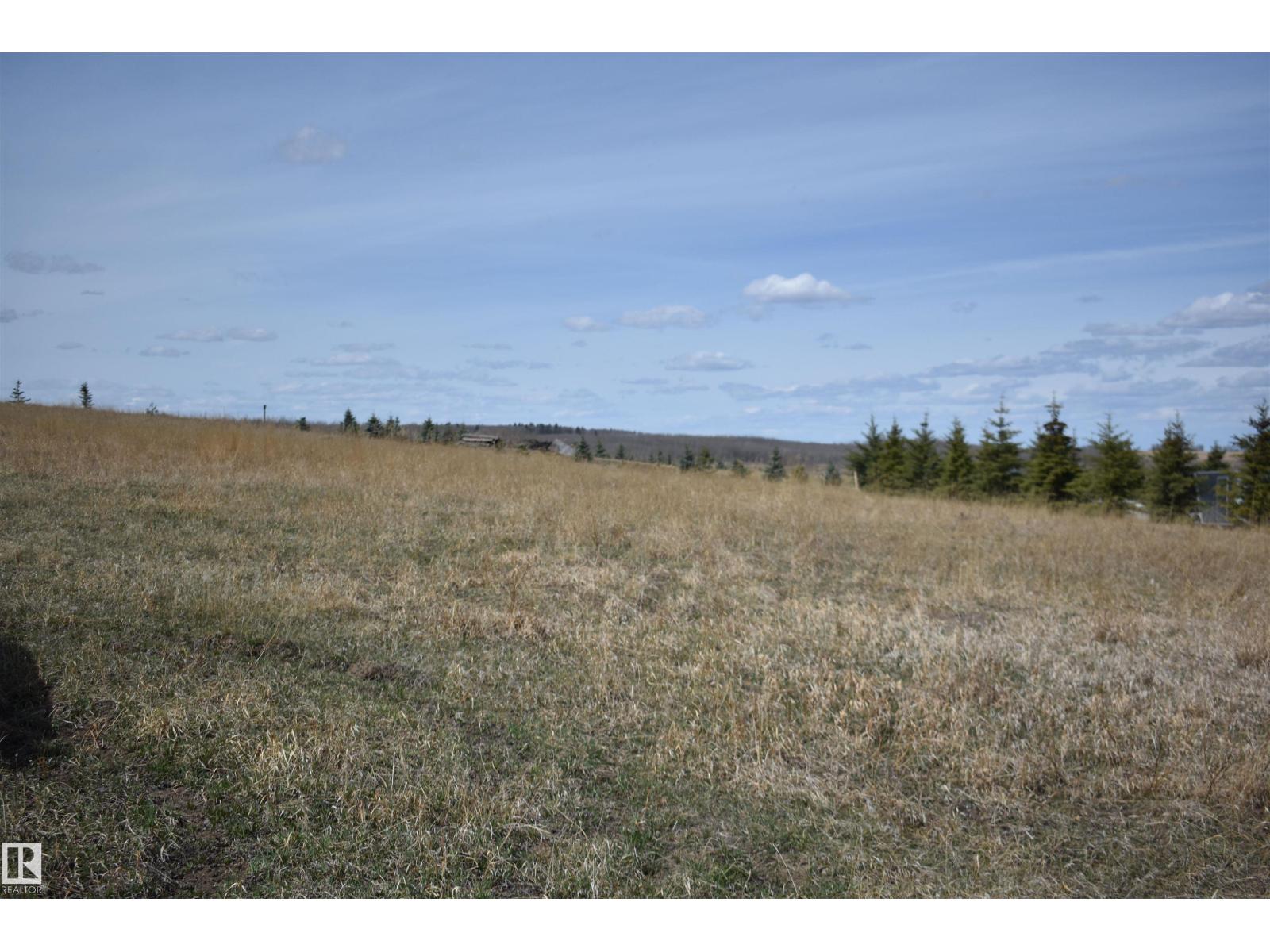 133 Bruhn Bv Nw, Rural Ponoka County, Alberta T0C 2J0 - Photo 9 - E4492299