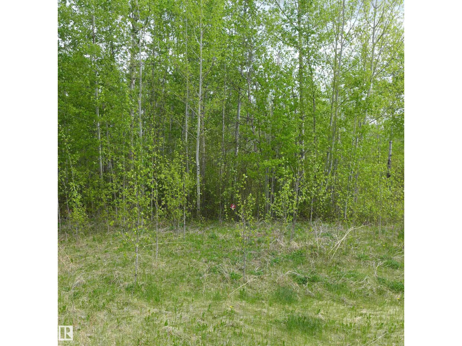 23 11032 - Hwy 13, Rural Wetaskiwin County, Alberta  T0C 2V0 - Photo 2 - E4492355