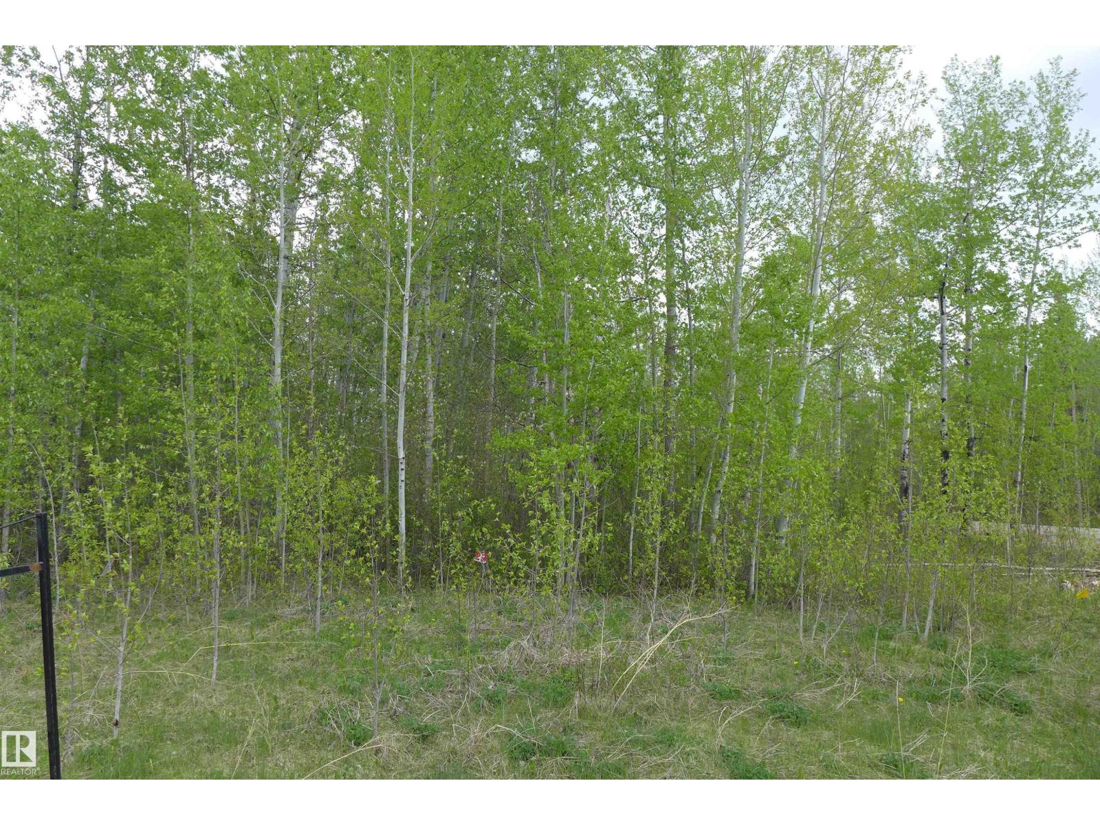 23 11032 - Hwy 13, Rural Wetaskiwin County, Alberta  T0C 2V0 - Photo 4 - E4492355