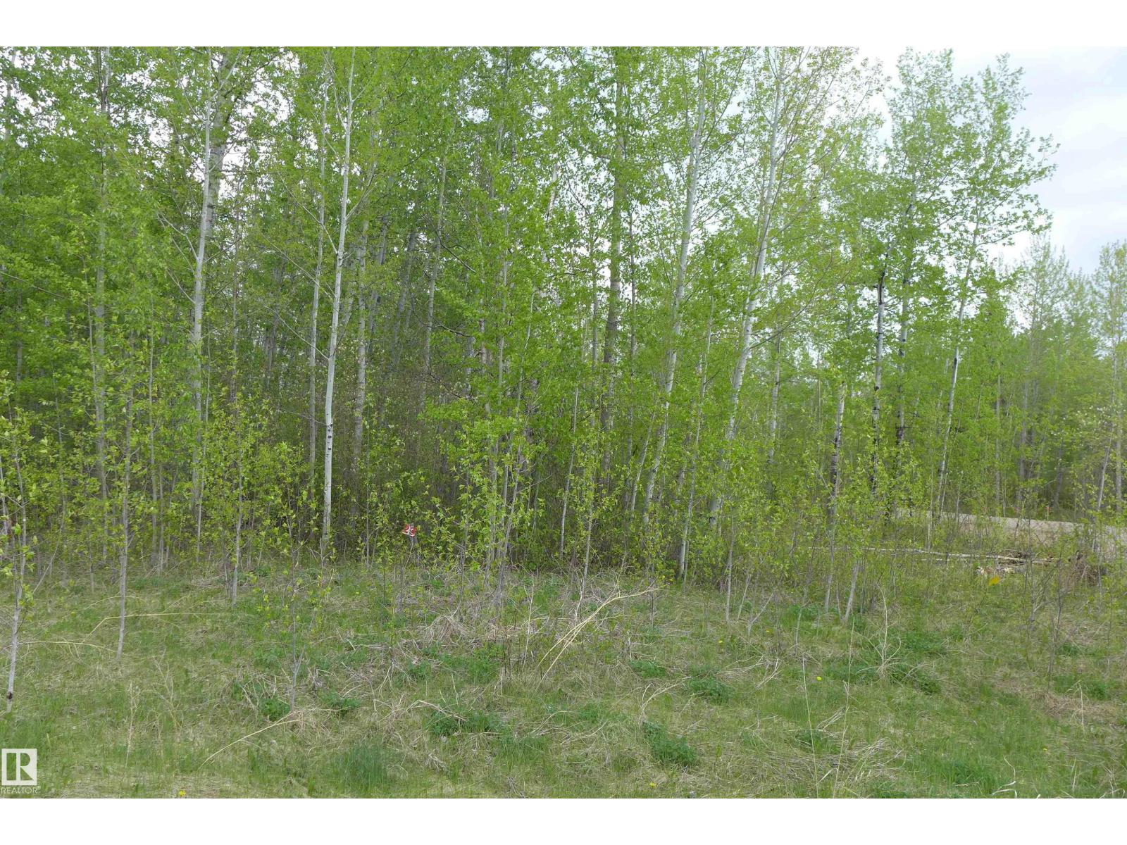 23 11032 - Hwy 13, Rural Wetaskiwin County, Alberta  T0C 2V0 - Photo 5 - E4492355
