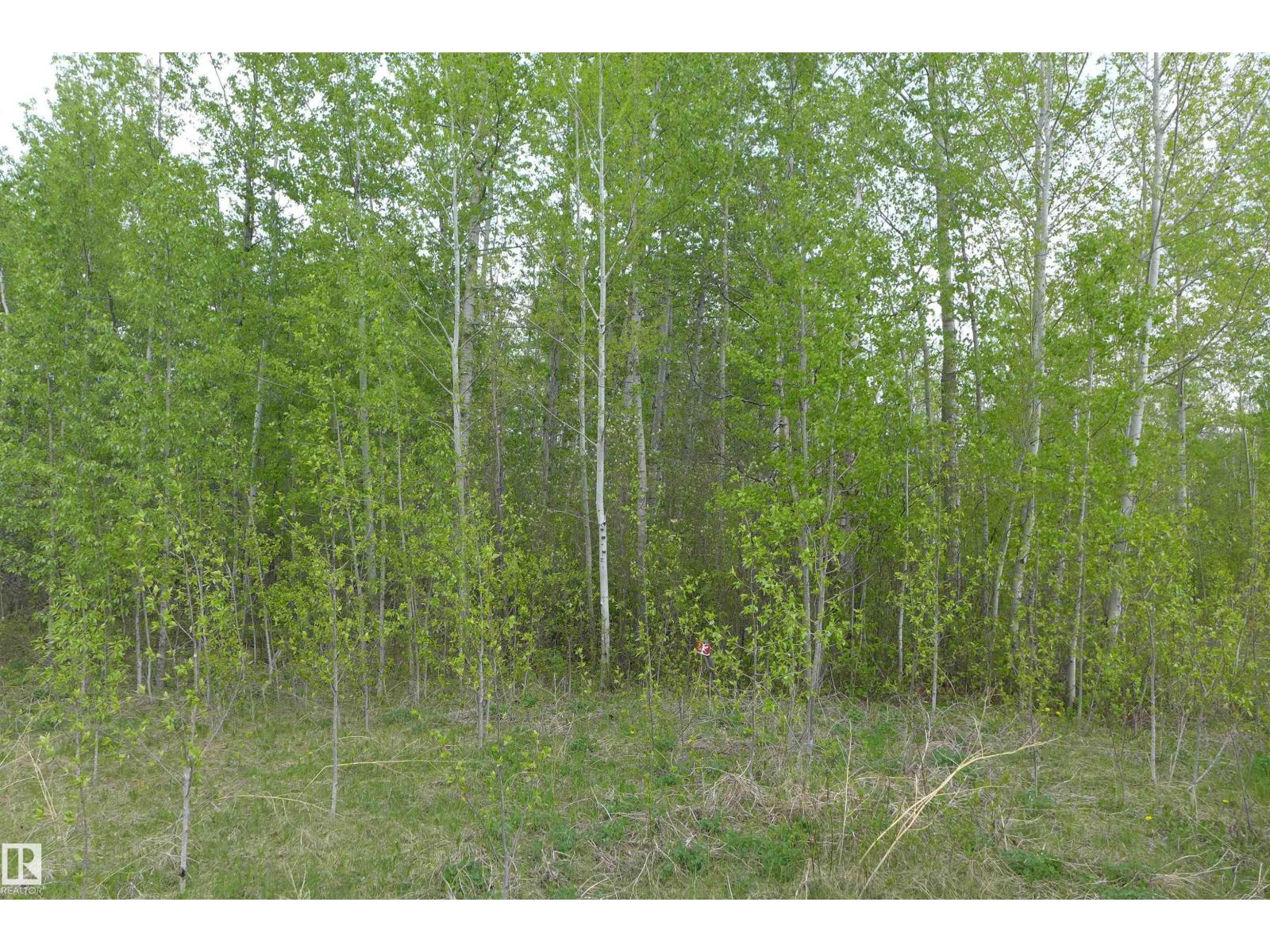 23 11032 - Hwy 13, Rural Wetaskiwin County, Alberta  T0C 2V0 - Photo 6 - E4492355
