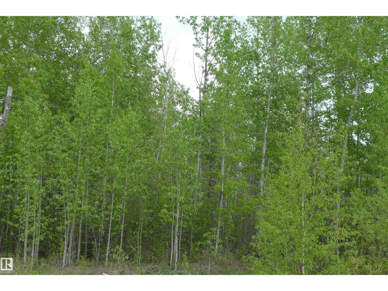 23 11032 - Hwy 13, Rural Wetaskiwin County, Alberta  T0C 2V0 - Photo 8 - E4492355