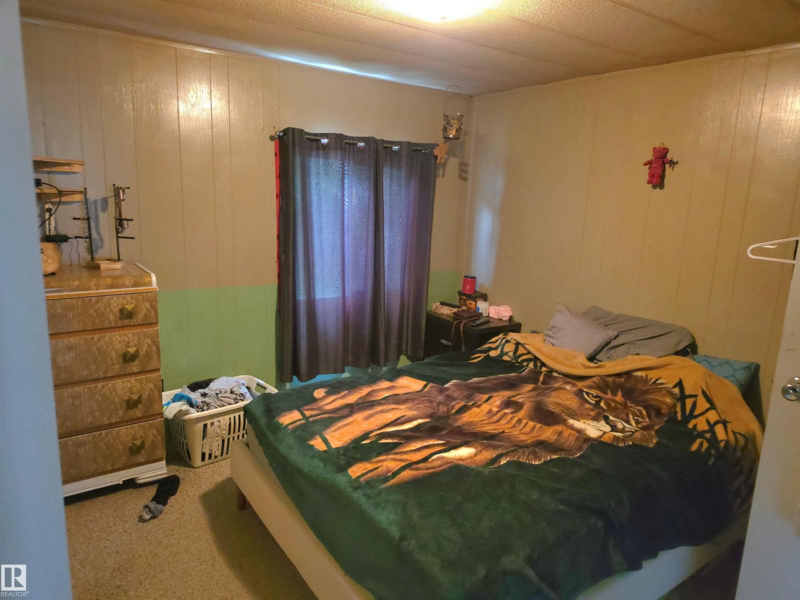 4916 47 St, Thorsby, Alberta T0C 2P0 - Photo 25 - E4492460