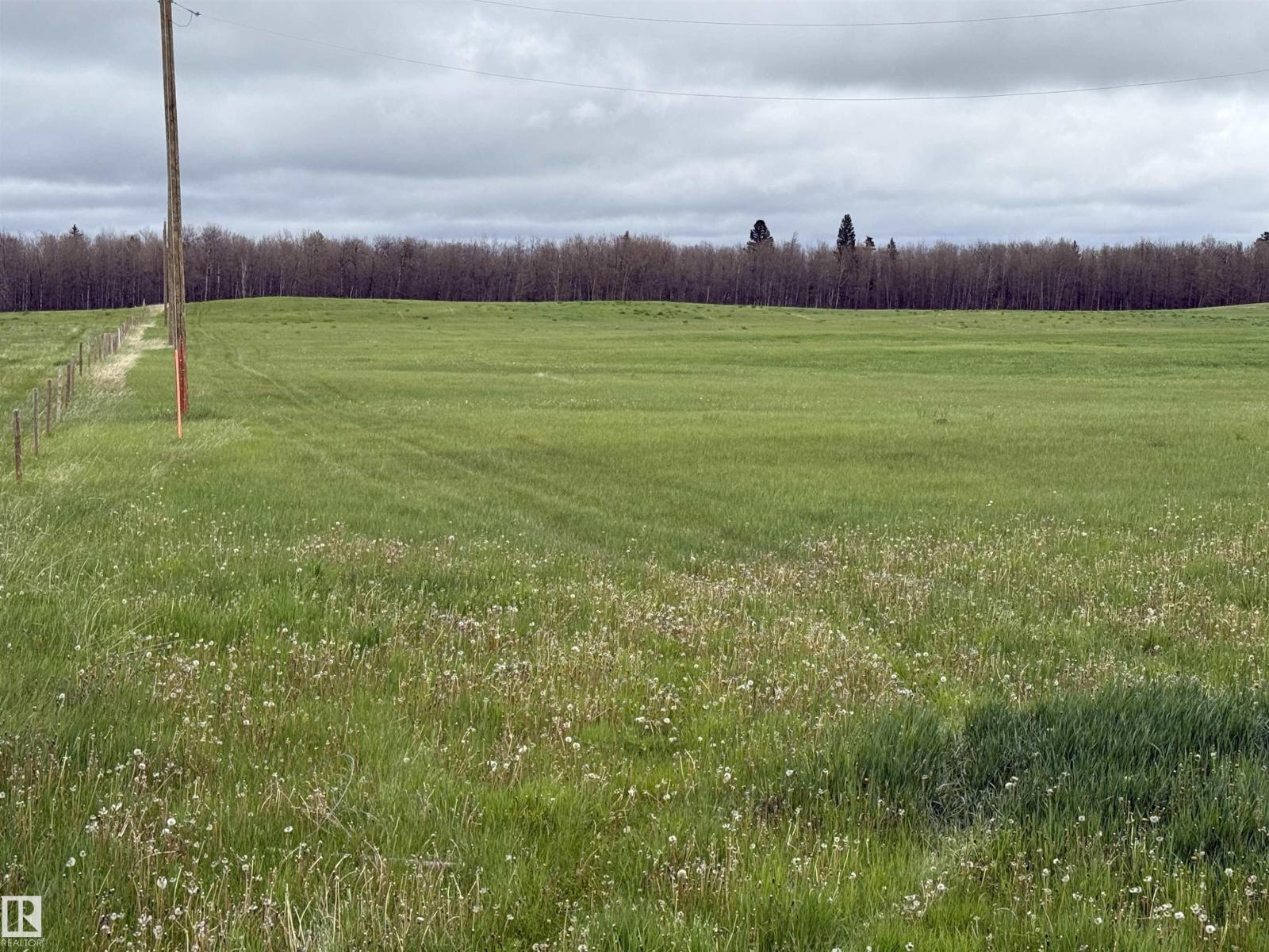 Rr 50 Twp 532 None, Rural Parkland County, Alberta T0E 0V0 - Photo 10 - E4492466
