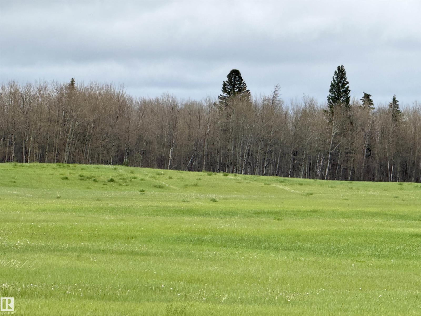 Rr 50 Twp 532 None, Rural Parkland County, Alberta T0E 0V0 - Photo 12 - E4492466