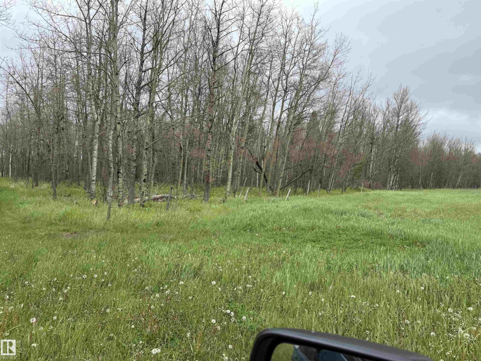 Rr 50 Twp 532 None, Rural Parkland County, Alberta T0E 0V0 - Photo 15 - E4492466