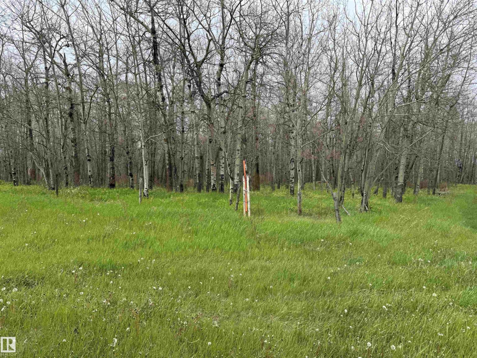 Rr 50 Twp 532 None, Rural Parkland County, Alberta T0E 0V0 - Photo 16 - E4492466
