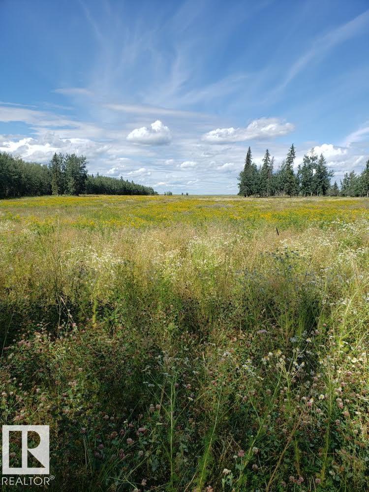 Rr 50 Twp 532 None, Rural Parkland County, Alberta T0E 0V0 - Photo 2 - E4492466