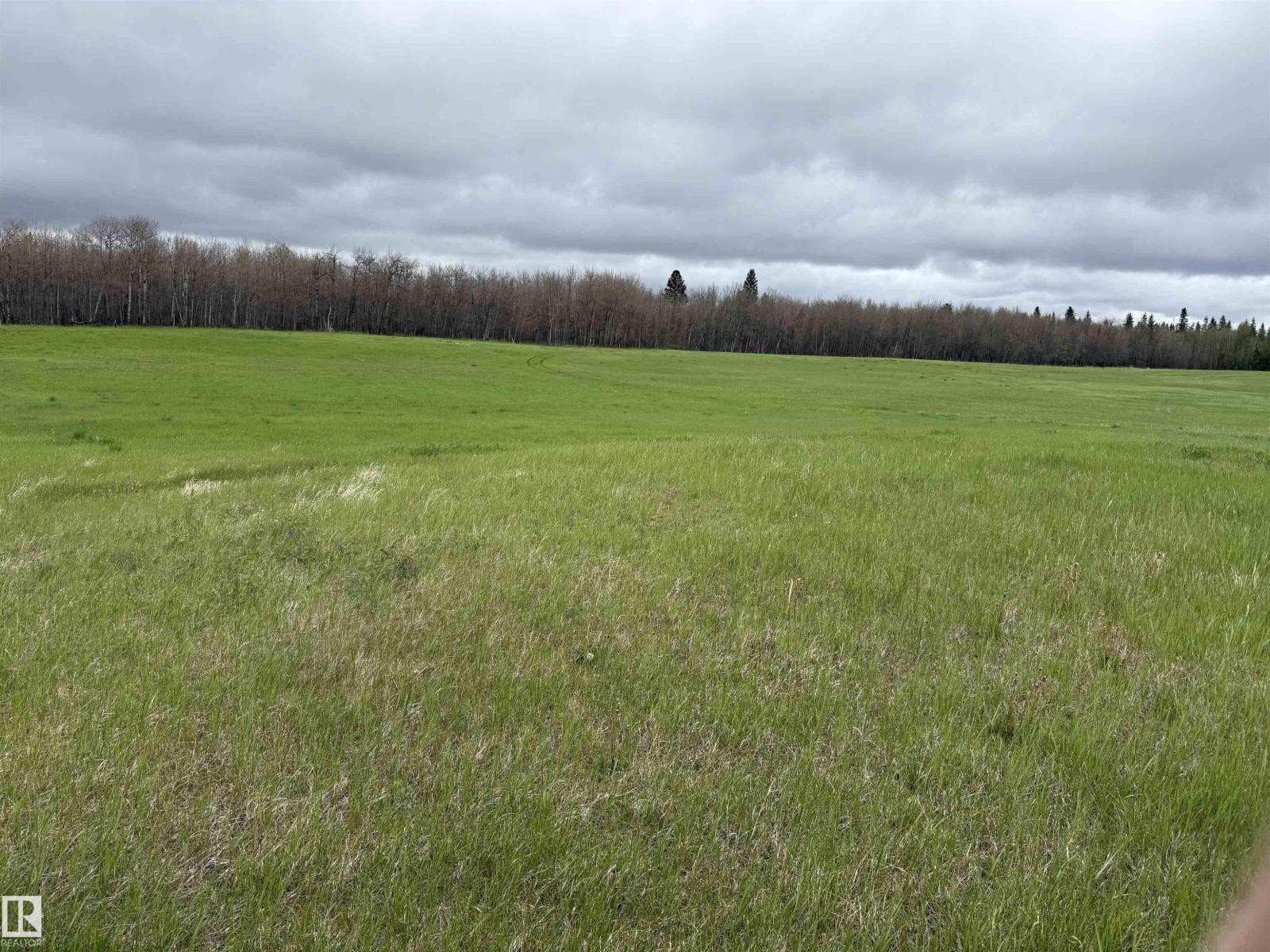 Rr 50 Twp 532 None, Rural Parkland County, Alberta T0E 0V0 - Photo 7 - E4492466