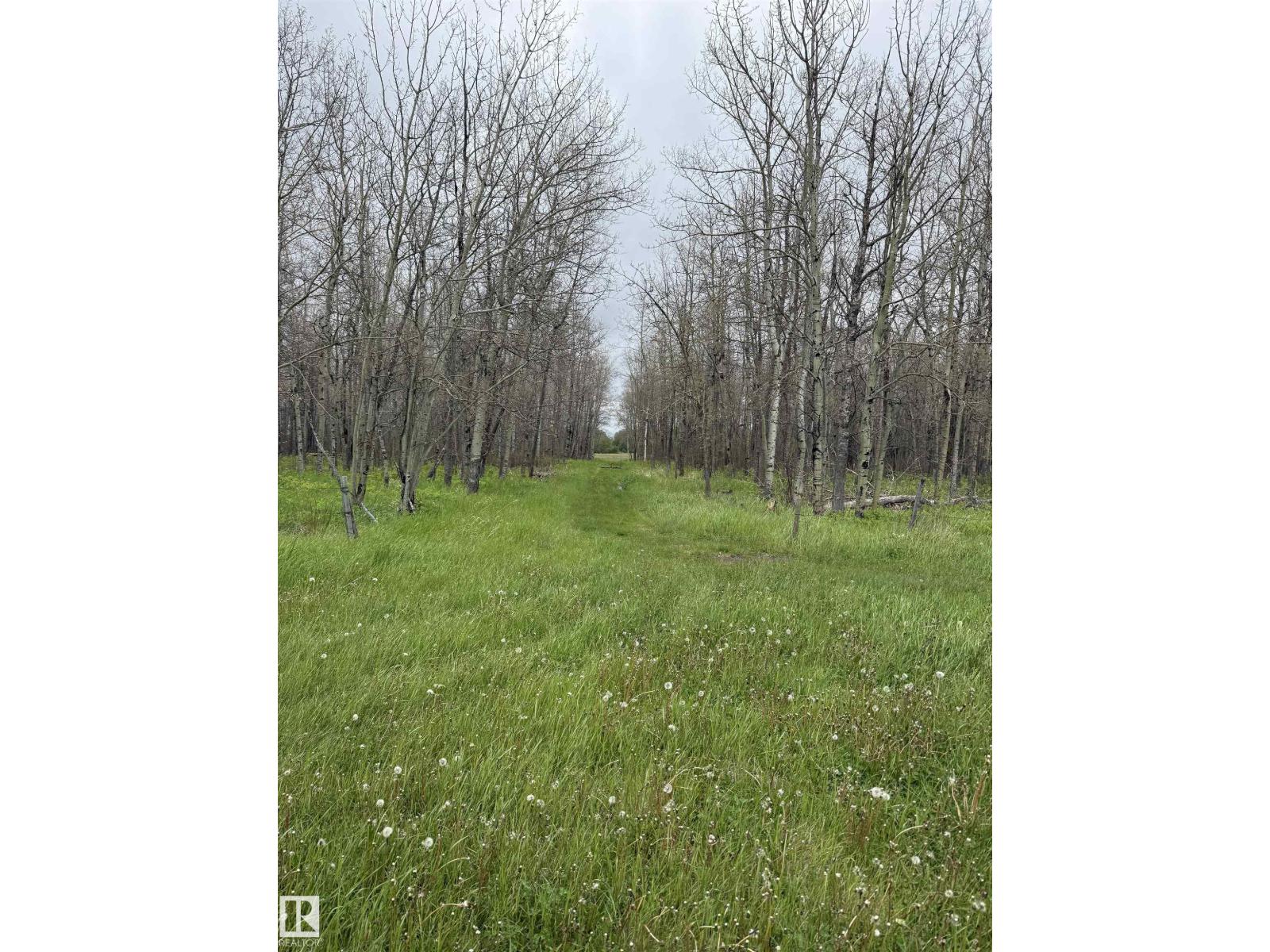 Rr 50 Twp 532 None, Rural Parkland County, Alberta T0E 0V0 - Photo 8 - E4492466
