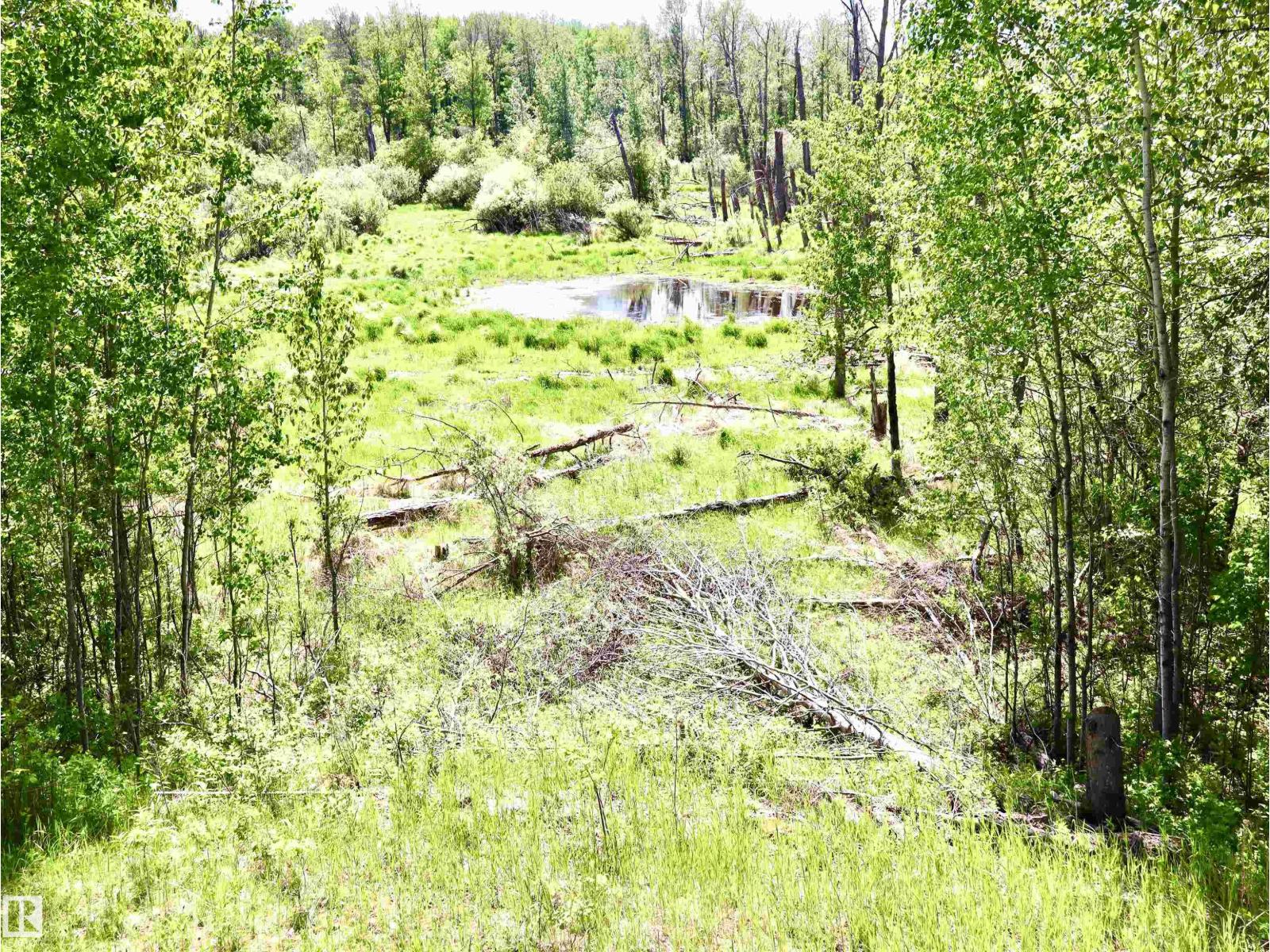 56431 Rr 25, Rural Lac Ste. Anne County, Alberta T0E 1A0 - Photo 28 - E4492542