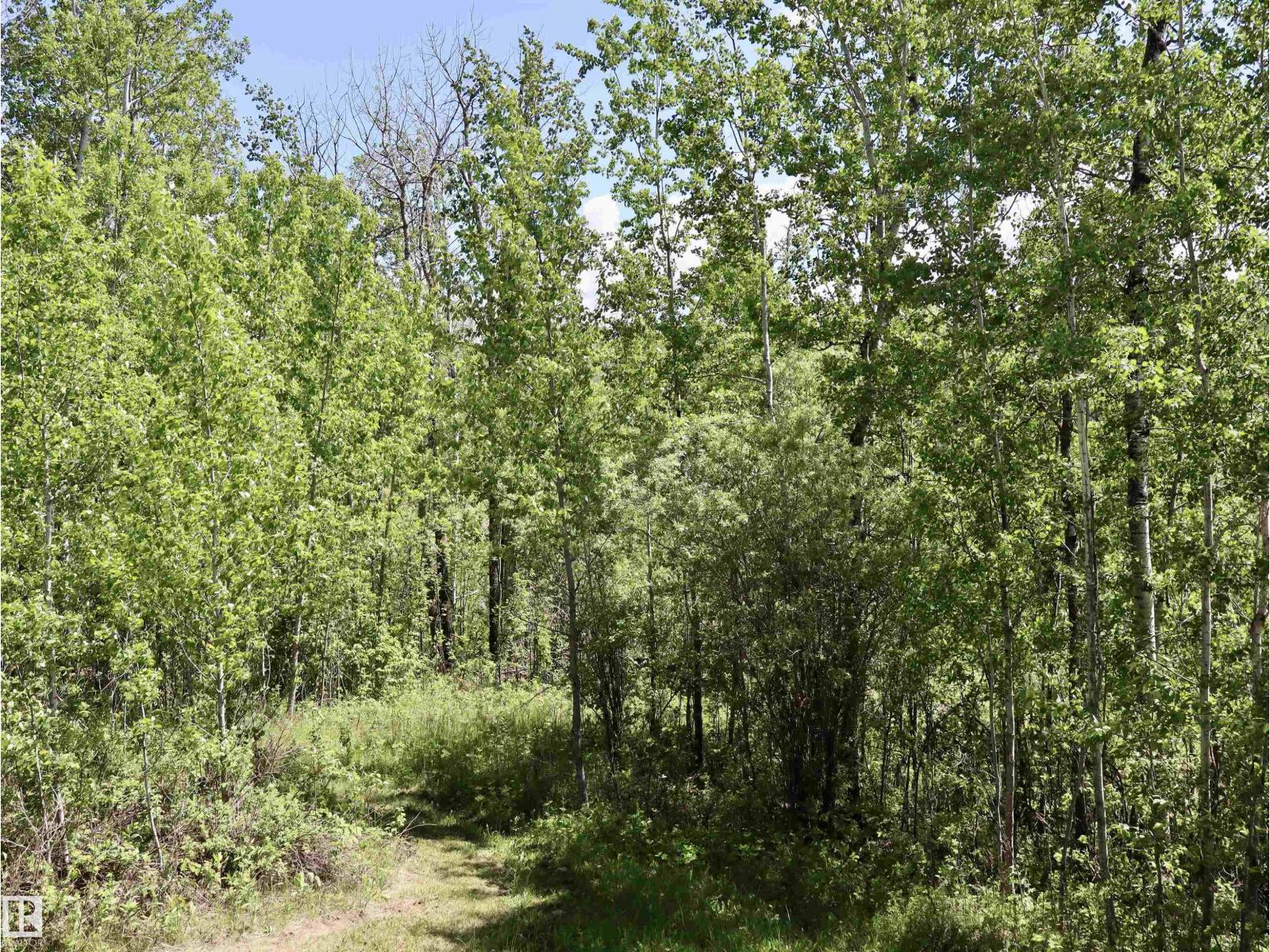 56431 Rr 25, Rural Lac Ste. Anne County, Alberta T0E 1A0 - Photo 33 - E4492542