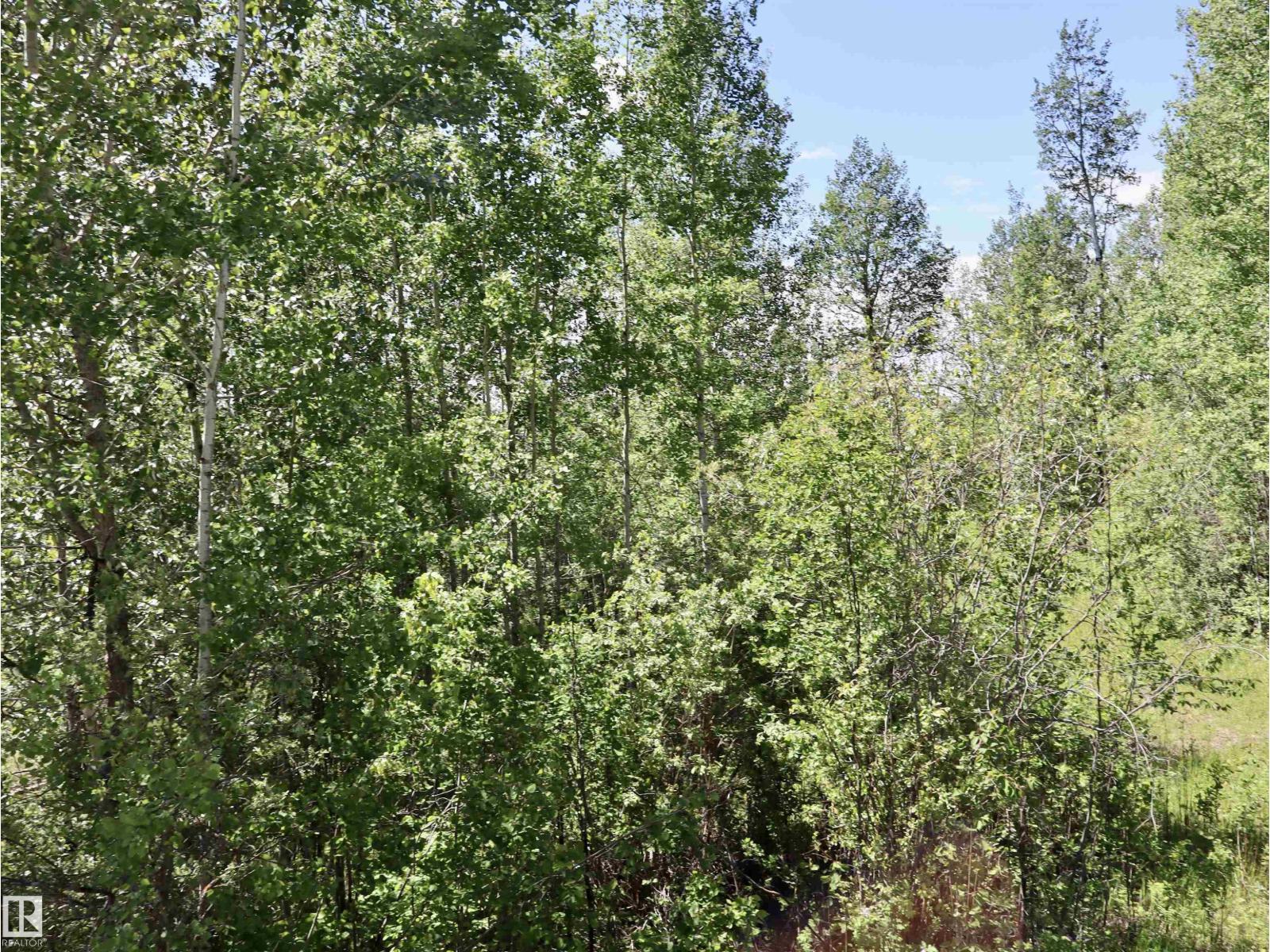 56431 Rr 25, Rural Lac Ste. Anne County, Alberta T0E 1A0 - Photo 35 - E4492542