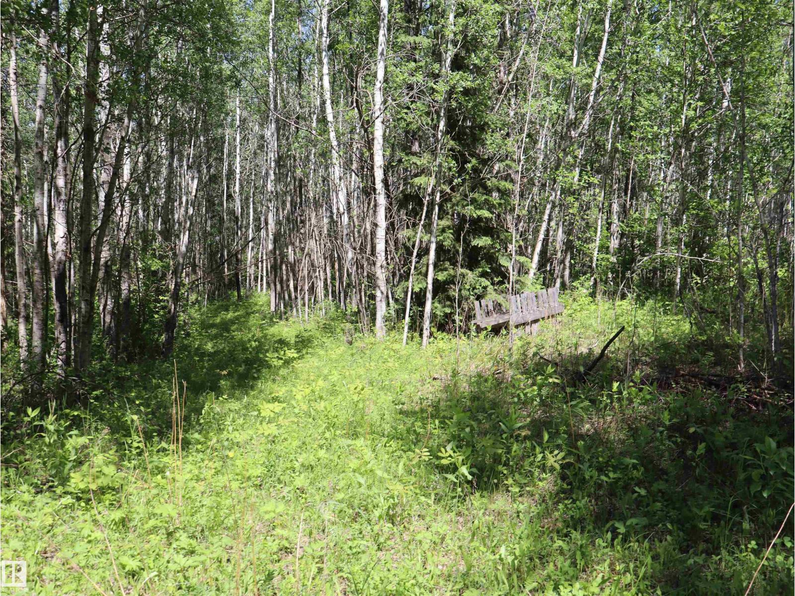 56431 Rr 25, Rural Lac Ste. Anne County, Alberta T0E 1A0 - Photo 38 - E4492542
