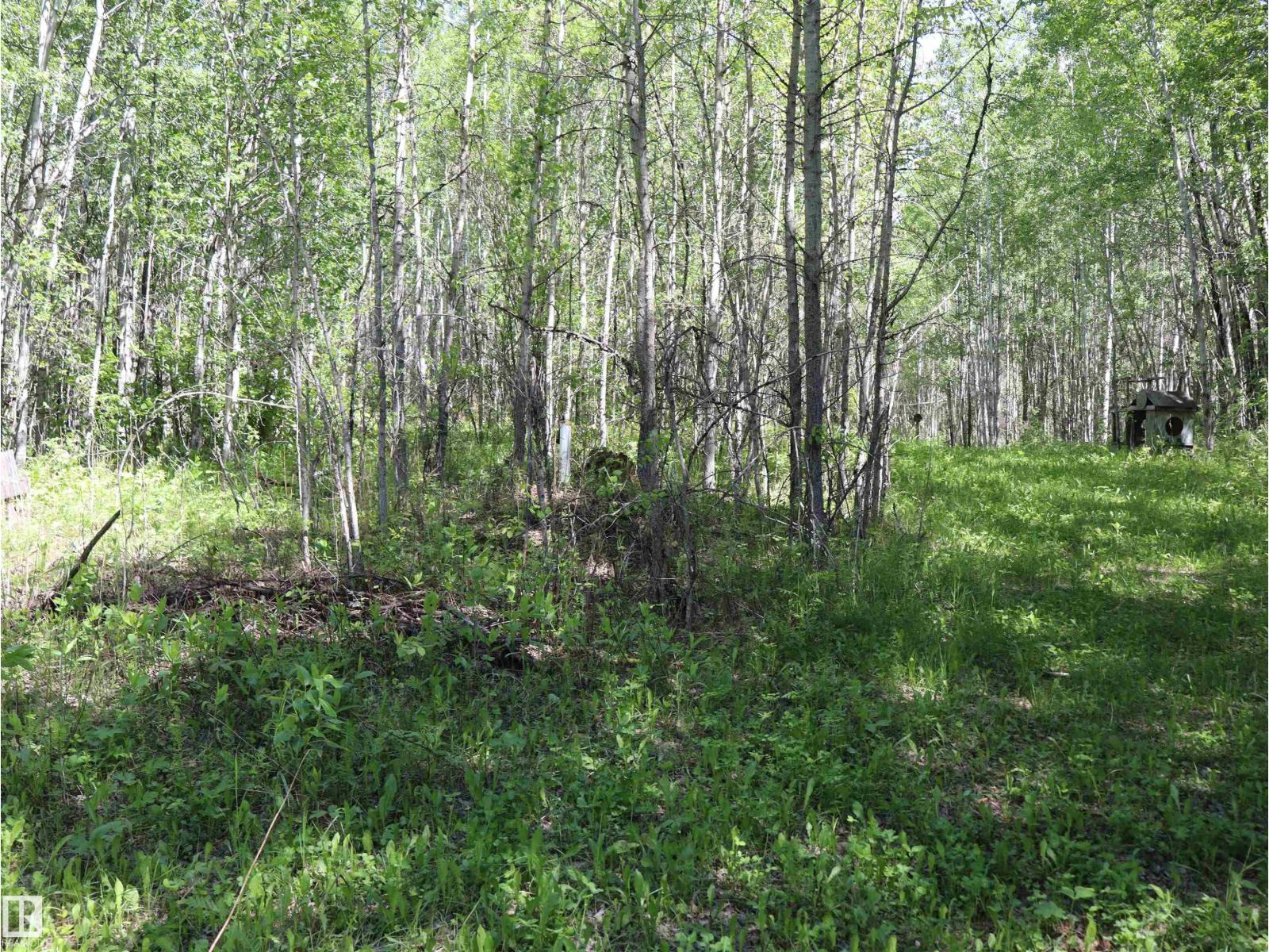 56431 Rr 25, Rural Lac Ste. Anne County, Alberta T0E 1A0 - Photo 39 - E4492542