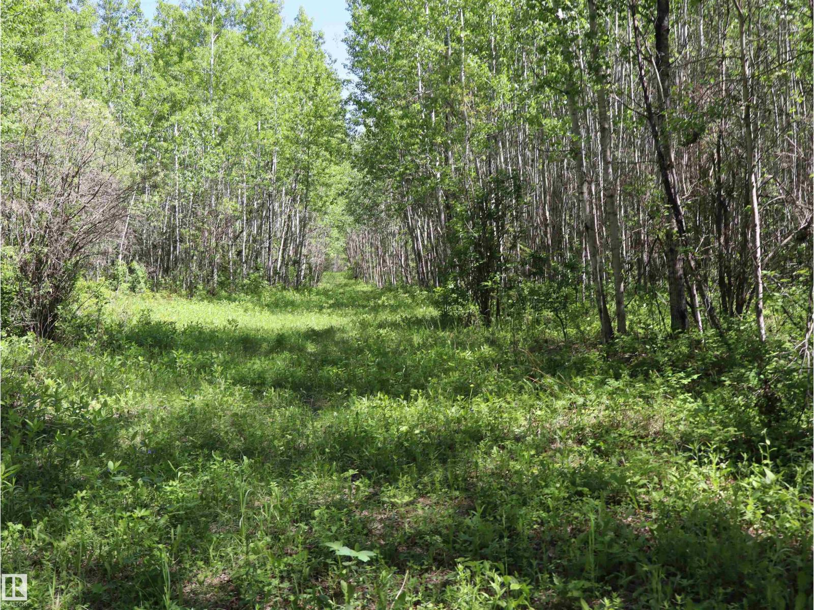 56431 Rr 25, Rural Lac Ste. Anne County, Alberta T0E 1A0 - Photo 42 - E4492542