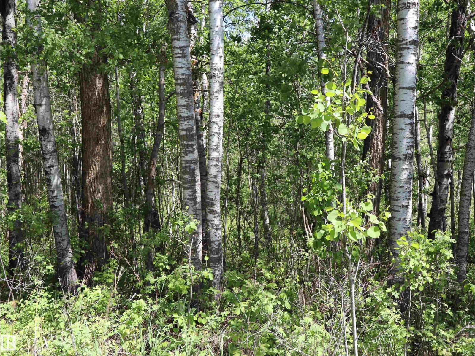 56431 Rr 25, Rural Lac Ste. Anne County, Alberta T0E 1A0 - Photo 43 - E4492542