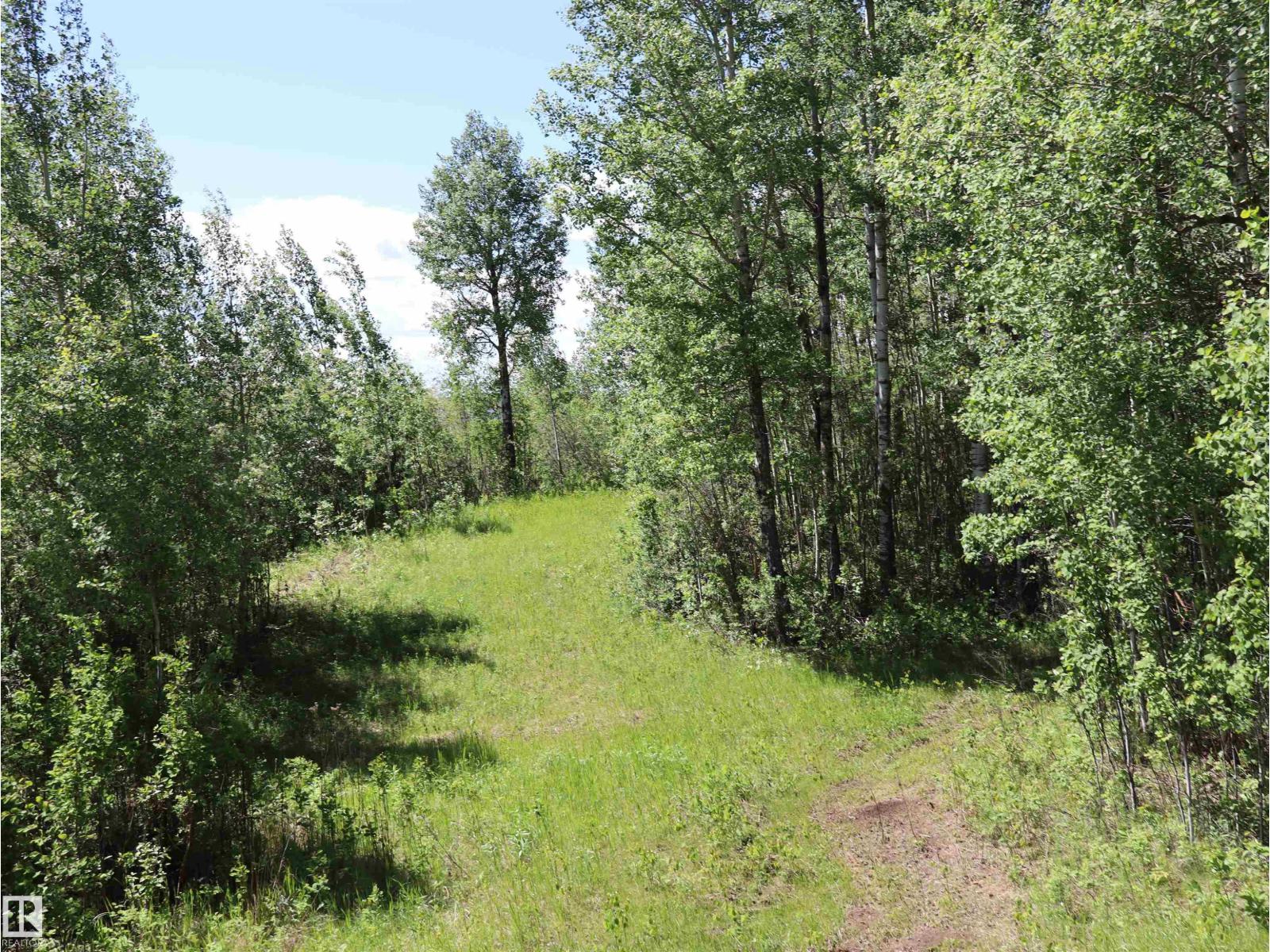 56431 Rr 25, Rural Lac Ste. Anne County, Alberta T0E 1A0 - Photo 51 - E4492542