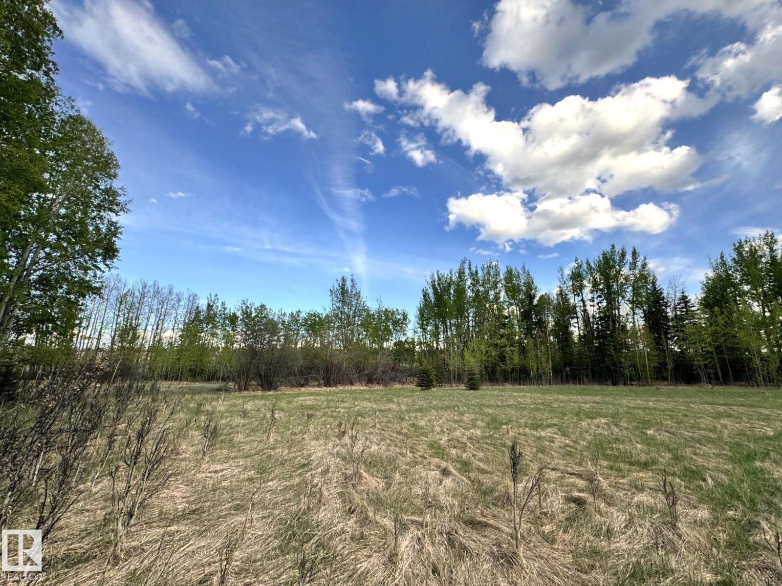 55120 Rrd 92, Rural Yellowhead, Alberta T0E 2M0 - Photo 13 - E4492696