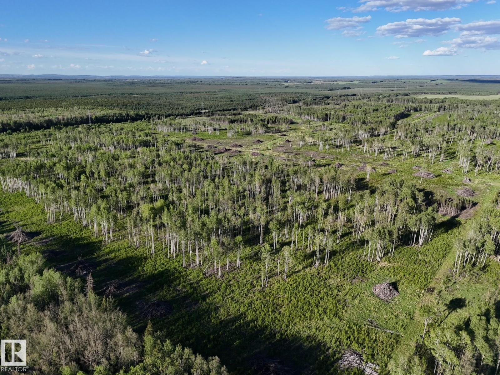 Twp 522 Rrd 90, Rural Yellowhead, Alberta  T0E 0T0 - Photo 12 - E4492713