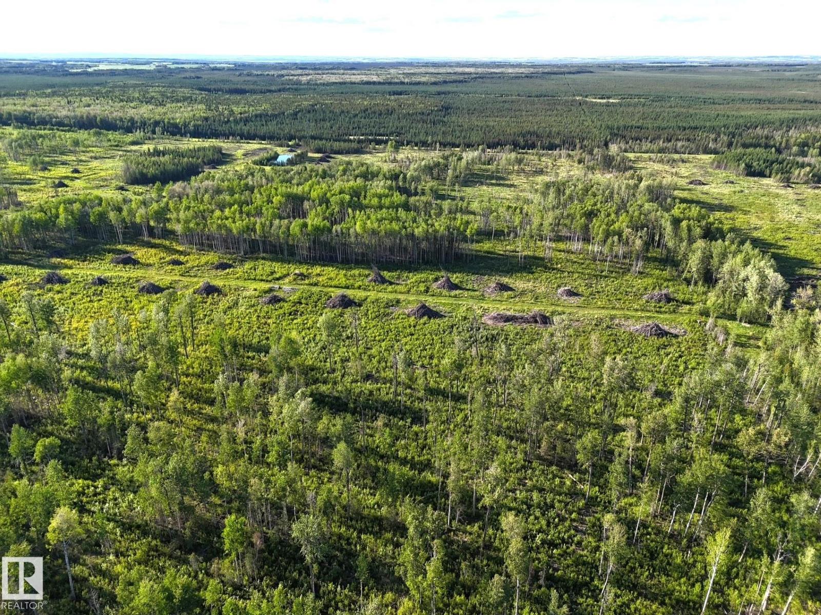 Twp 522 Rrd 90, Rural Yellowhead, Alberta  T0E 0T0 - Photo 13 - E4492713