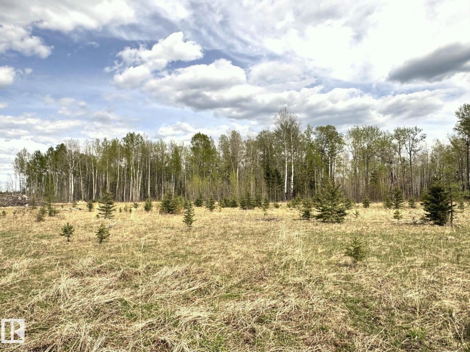 Twp 522 Rrd 90, Rural Yellowhead, Alberta  T0E 0T0 - Photo 14 - E4492713