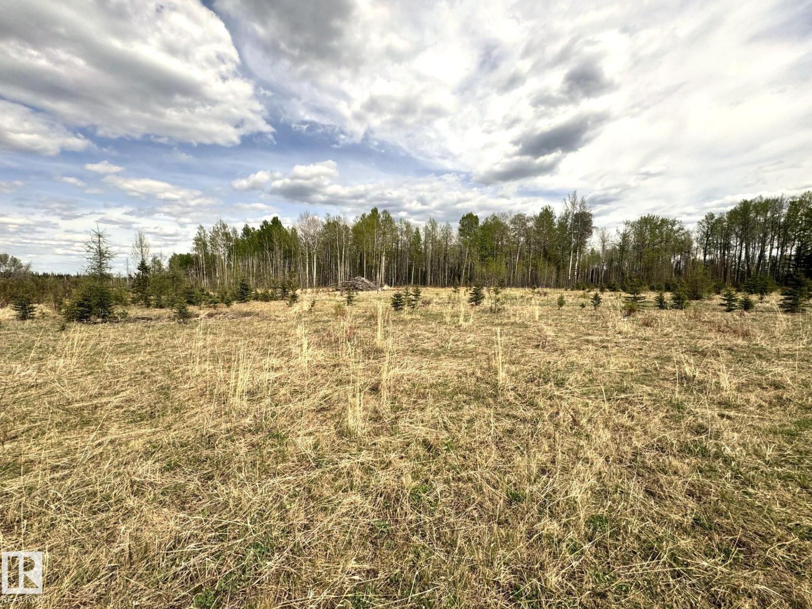 Twp 522 Rrd 90, Rural Yellowhead, Alberta  T0E 0T0 - Photo 17 - E4492713