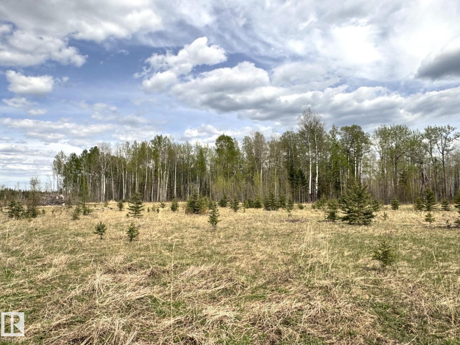 Twp 522 Rrd 90, Rural Yellowhead, Alberta  T0E 0T0 - Photo 19 - E4492713