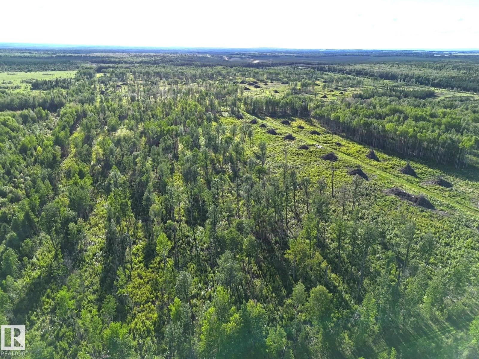 Twp 522 Rrd 90, Rural Yellowhead, Alberta  T0E 0T0 - Photo 8 - E4492713