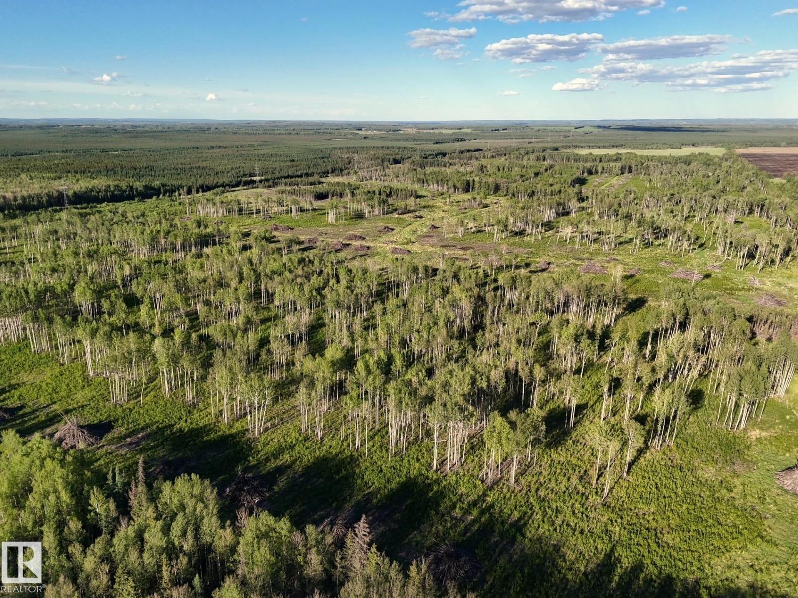 Twp 522 Rrd 90, Rural Yellowhead, Alberta  T0E 0T0 - Photo 9 - E4492713