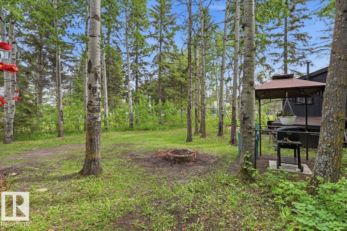 216 2nd Street Norris Beach, Rural Wetaskiwin County, Alberta T0C 2V0 - Photo 22 - E4492756