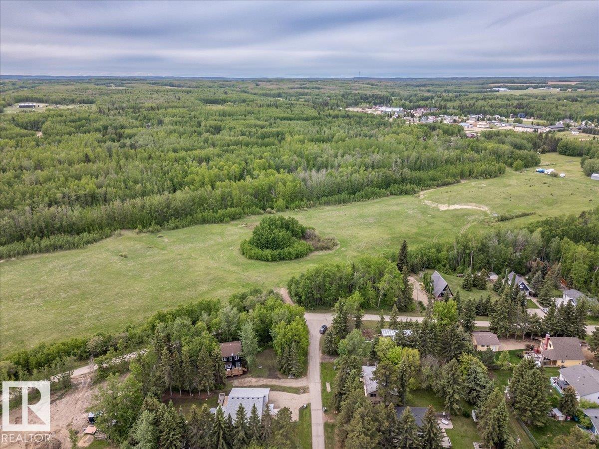 216 2nd Street Norris Beach, Rural Wetaskiwin County, Alberta T0C 2V0 - Photo 31 - E4492756