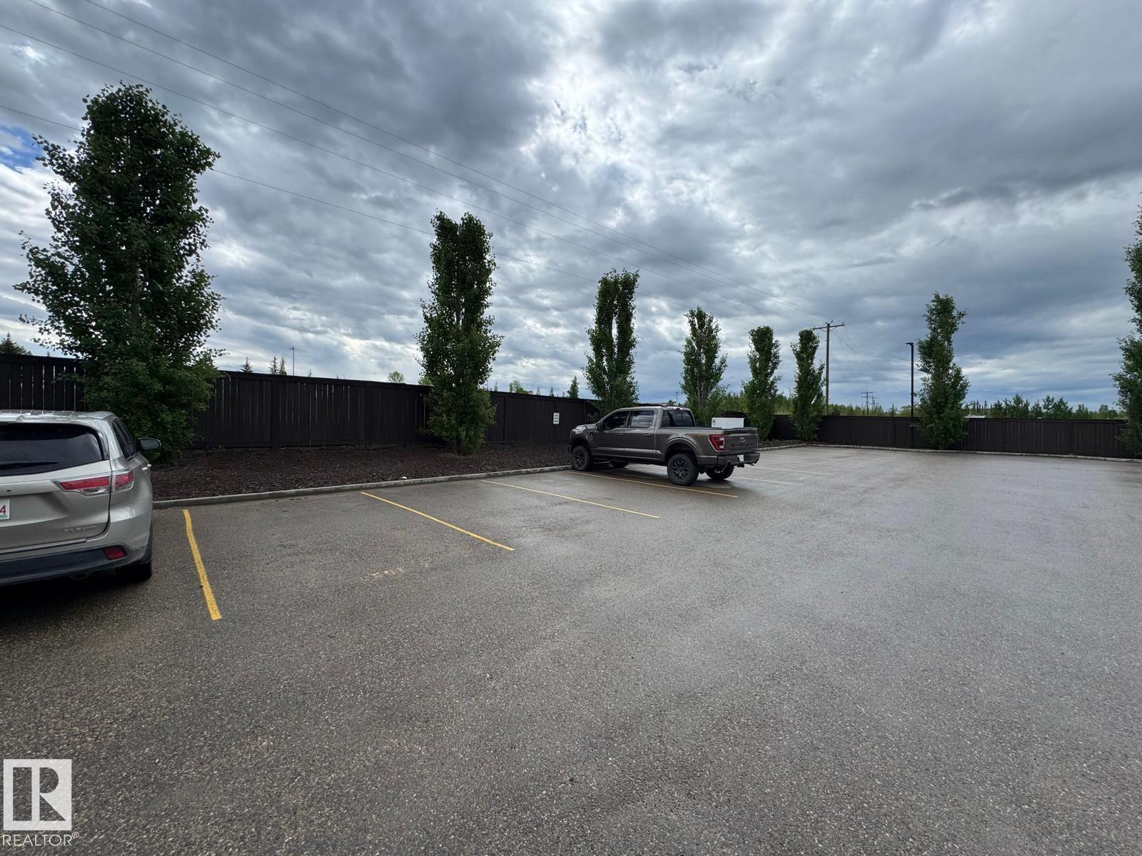 #302 5201 Brougham Dr, Drayton Valley, Alberta T7A 0C8 - Photo 54 - E4493055