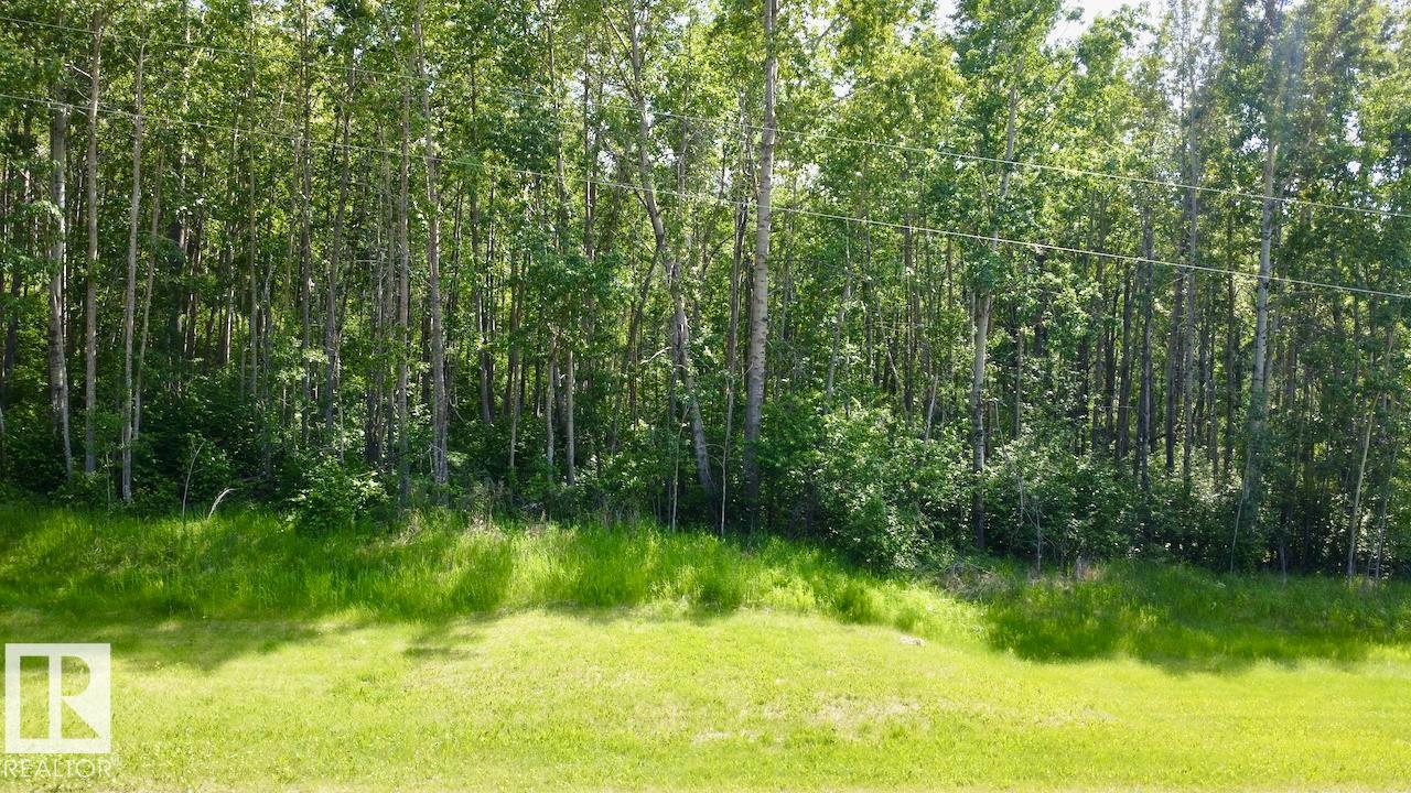 7 53420 Rge Road 60, Rural Parkland County, Alberta T0E 2B0 - Photo 3 - E4493352