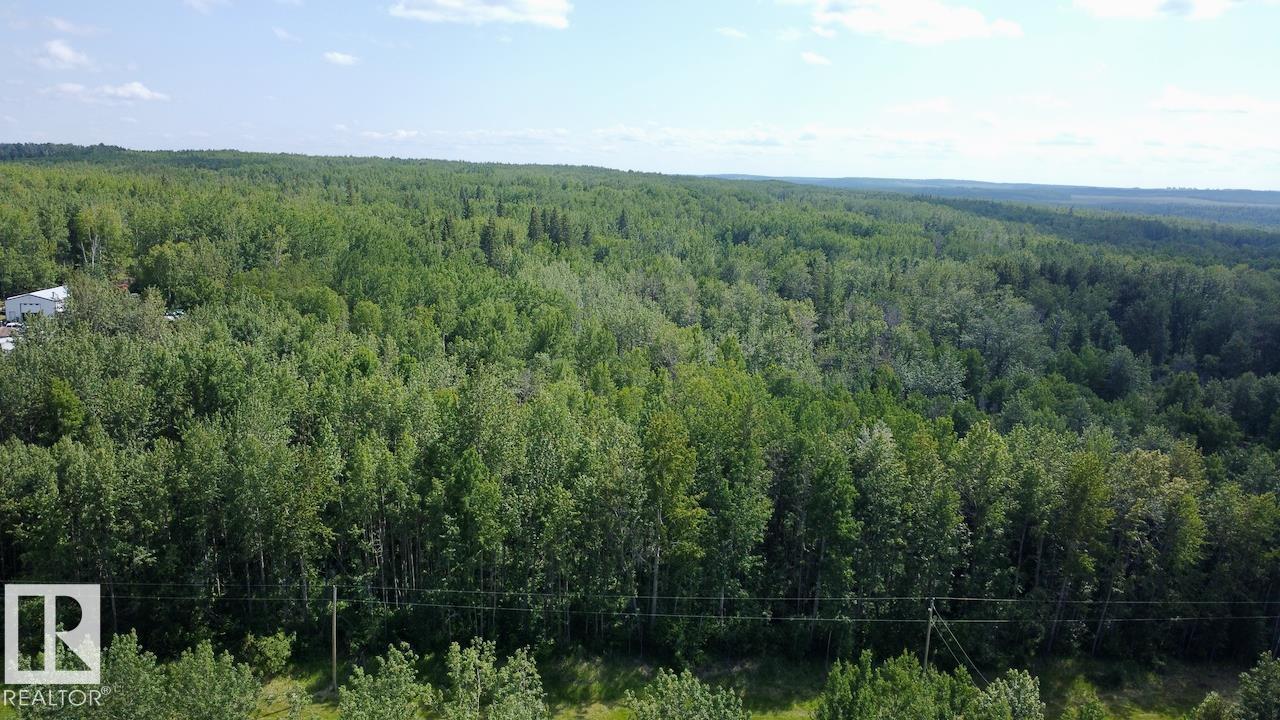 7 53420 Rge Road 60, Rural Parkland County, Alberta T0E 2B0 - Photo 6 - E4493352