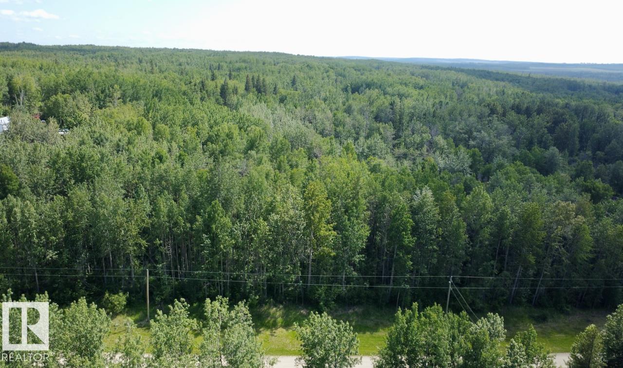 7 53420 Rge Road 60, Rural Parkland County, Alberta T0E 2B0 - Photo 7 - E4493352