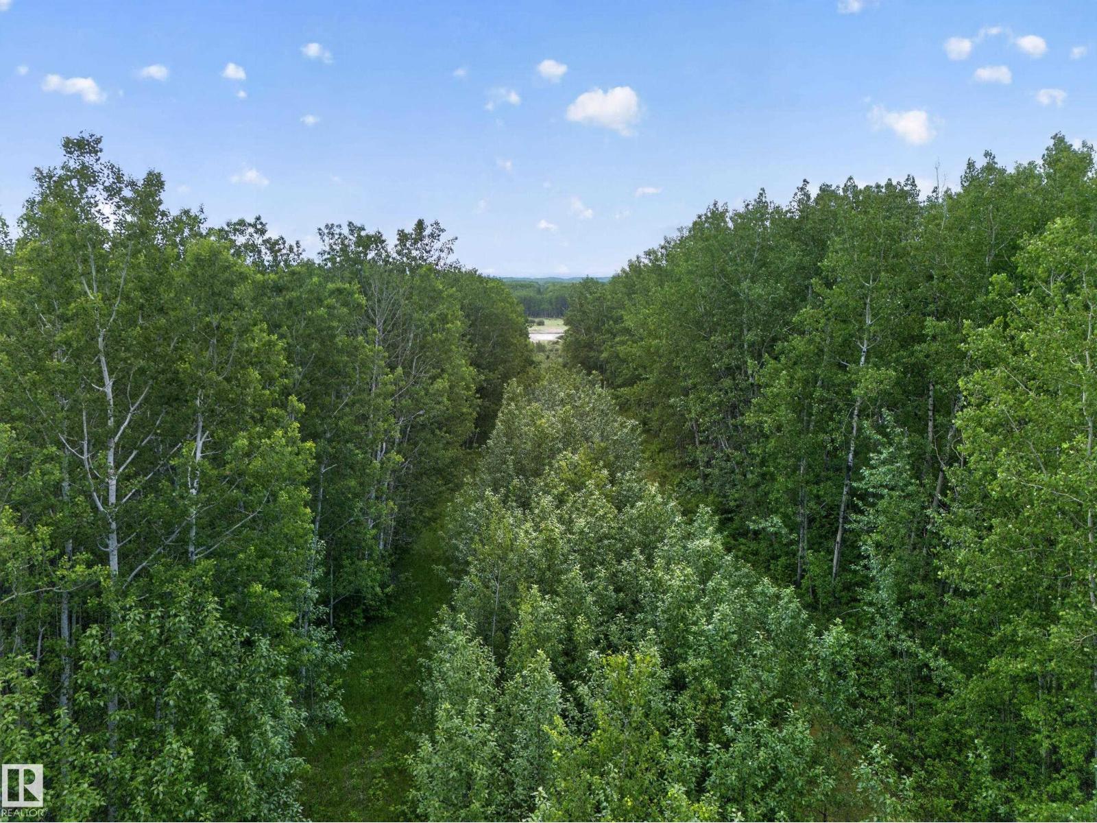 1415 Hwy 37, Rural Lac Ste. Anne County, Alberta  T0E 1V0 - Photo 53 - E4493495