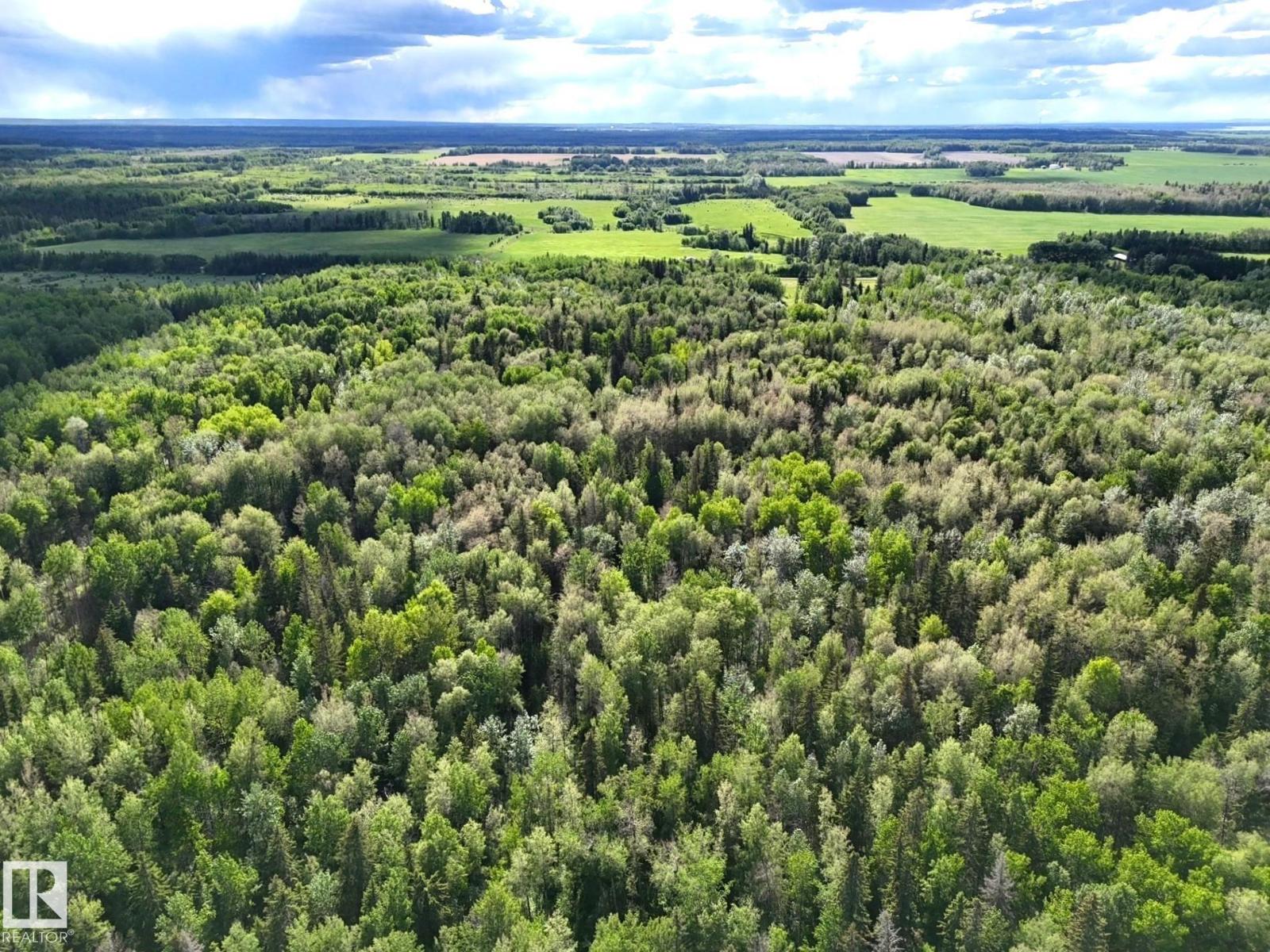 Twp 530 Rrd 83, Rural Yellowhead, Alberta T0E 0T0 - Photo 13 - E4493577