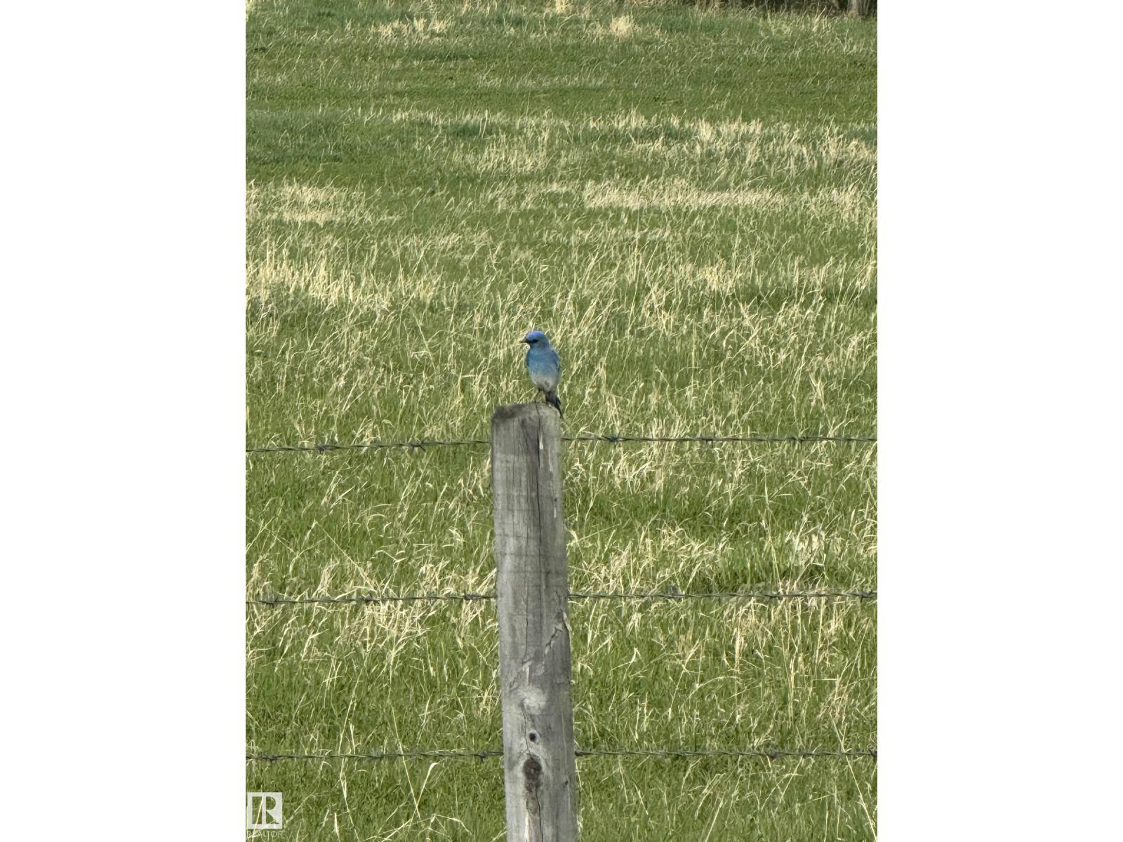 281029 Hwy 616, Rural Wetaskiwin County, Alberta  T0C 2C0 - Photo 12 - E4493937