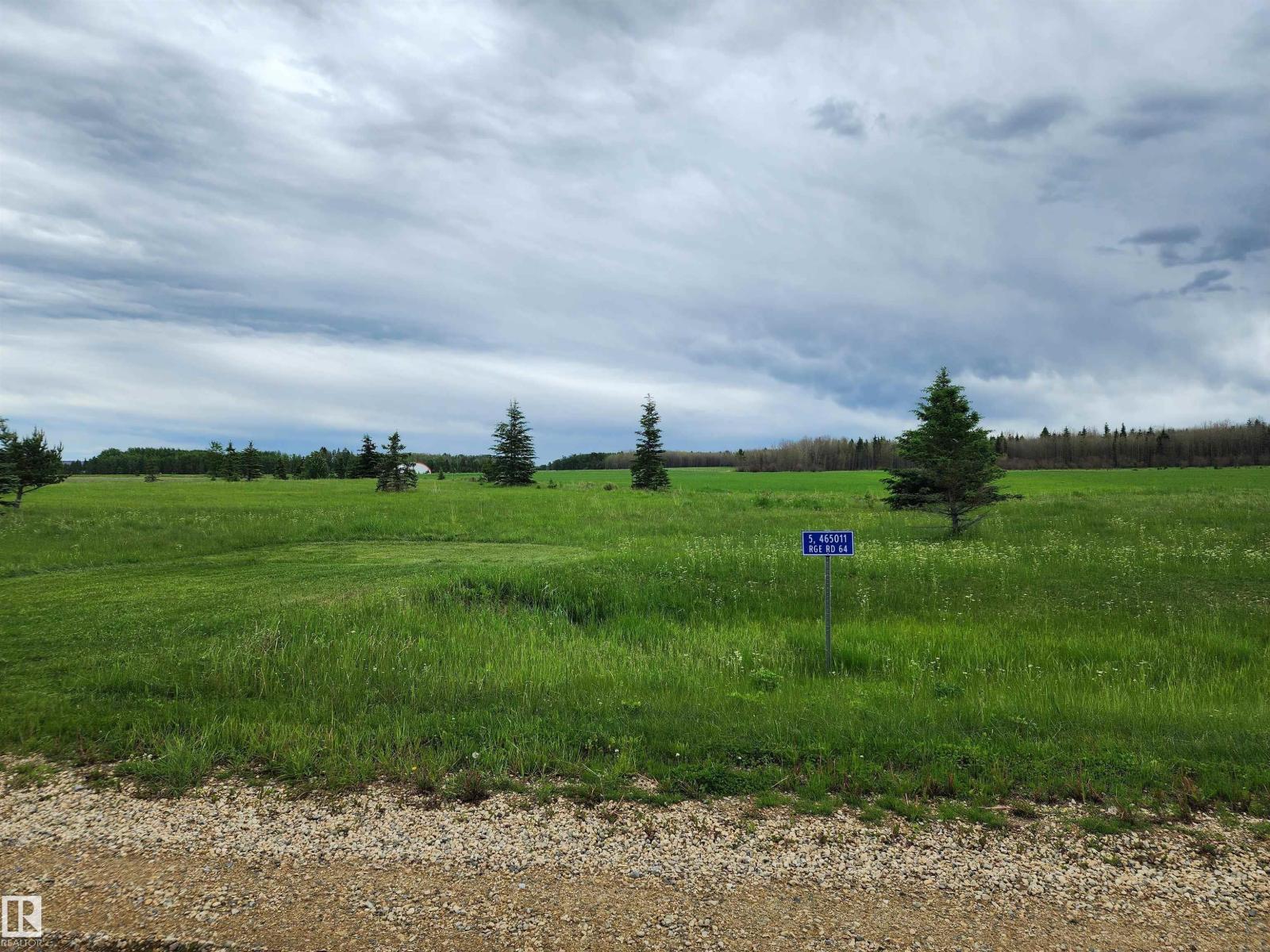 9 465011 Rge Rd 64, Rural Wetaskiwin County, Alberta T0C 0T0 - Photo 7 - E4494010
