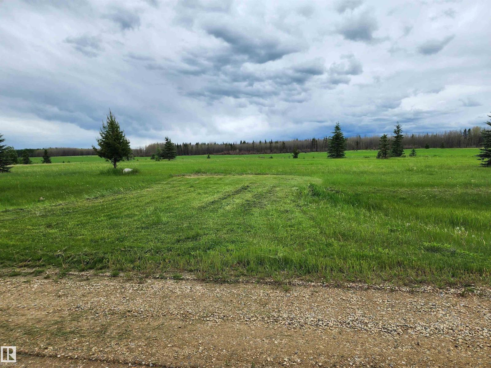 13 465011 Rge Rd 64, Rural Wetaskiwin County, Alberta T0C 0T0 - Photo 3 - E4494011