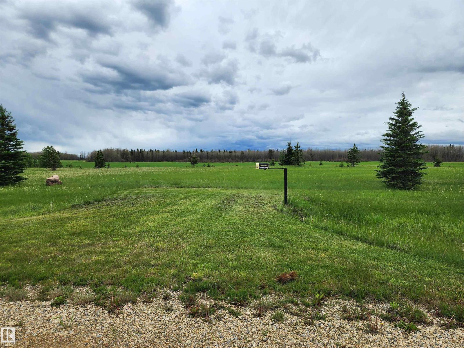 17 465011 Rge Rd 64, Rural Wetaskiwin County, Alberta T0C 0T0 - Photo 3 - E4494013