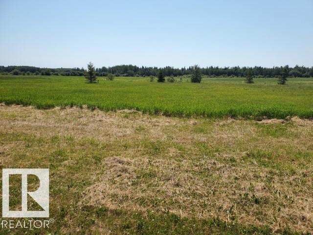 17 465011 Rge Rd 64, Rural Wetaskiwin County, Alberta T0C 0T0 - Photo 4 - E4494013