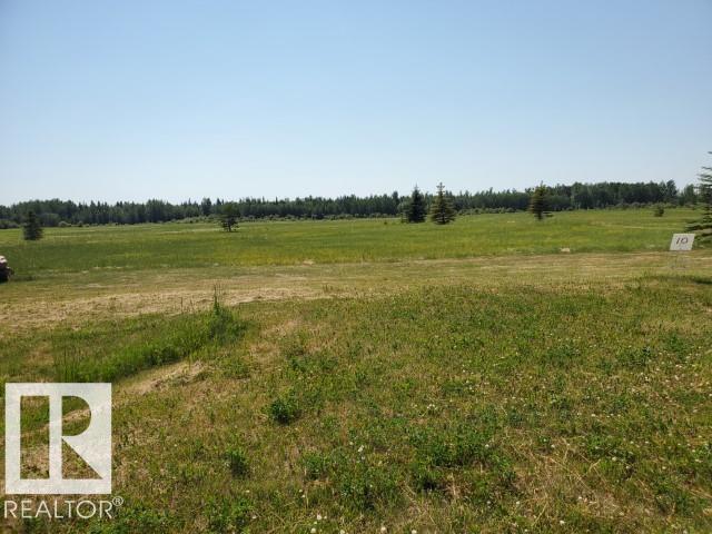 25 465011 Rge Rd 64, Rural Wetaskiwin County, Alberta T0C 0T0 - Photo 4 - E4494015