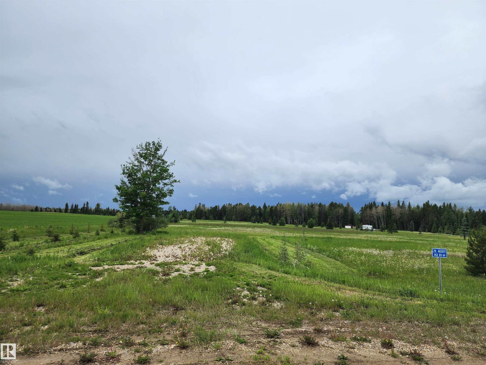 29 465011 Rge Rd 64, Rural Wetaskiwin County, Alberta T0C 0T0 - Photo 3 - E4494017