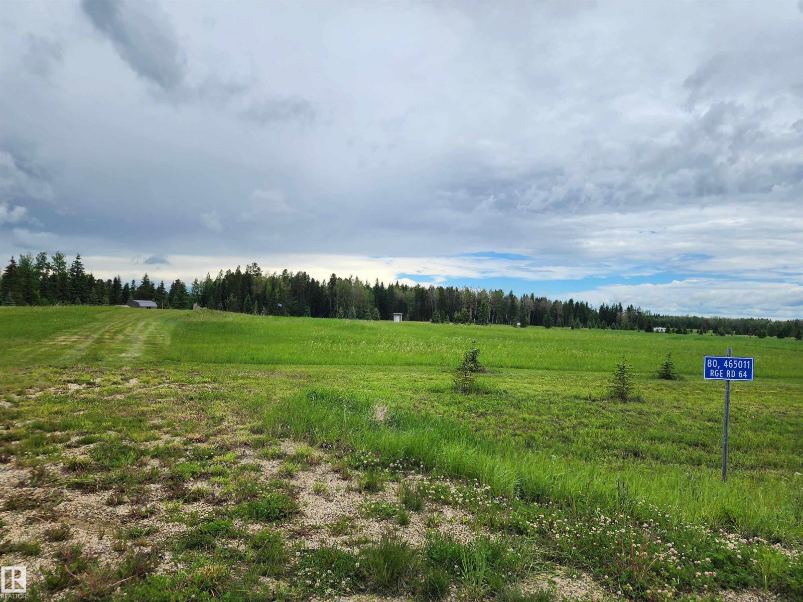 80 465011 Rge Rd 64, Rural Wetaskiwin County, Alberta  T0C 0T0 - Photo 1 - E4494019