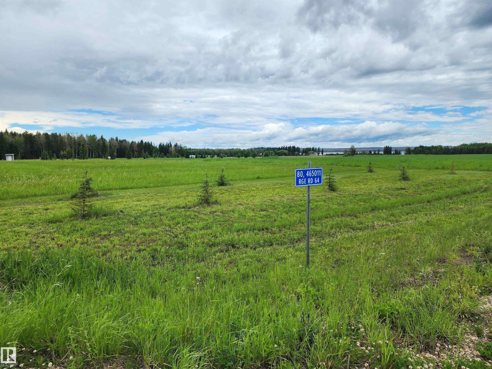 80 465011 Rge Rd 64, Rural Wetaskiwin County, Alberta  T0C 0T0 - Photo 3 - E4494019